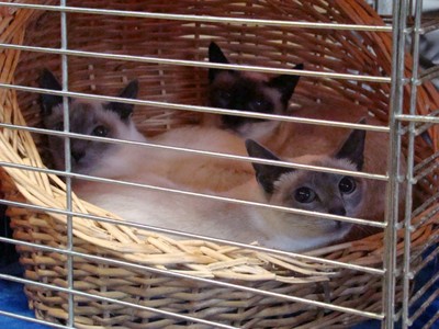20121021_45 (Expo)